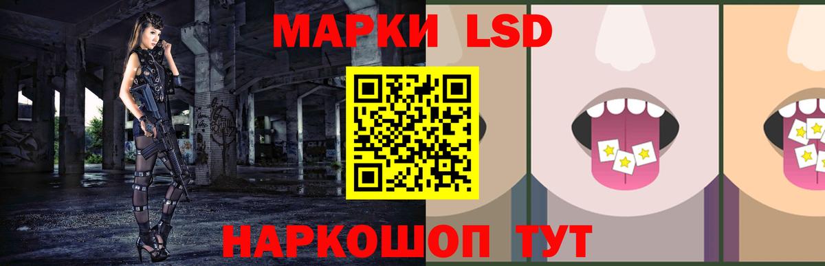 Волгодонск  ЛСД экстази кислота  blacksprut ссылки  Вход с VPN  LSD-25 экстази ecstasy 
