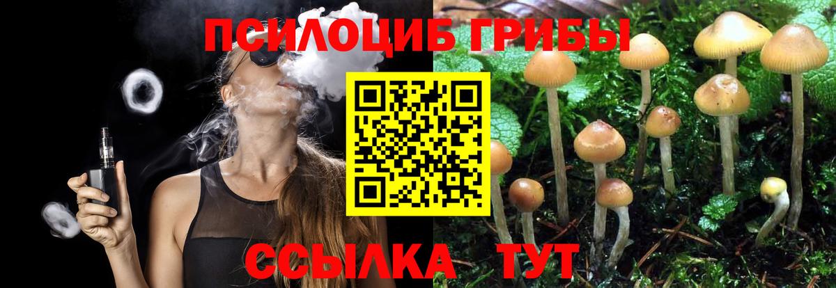 закладка  Вход с VPN  Волгодонск  Галлюциногенные грибы ЛСД  Галлюциногенные грибы прущие грибы 